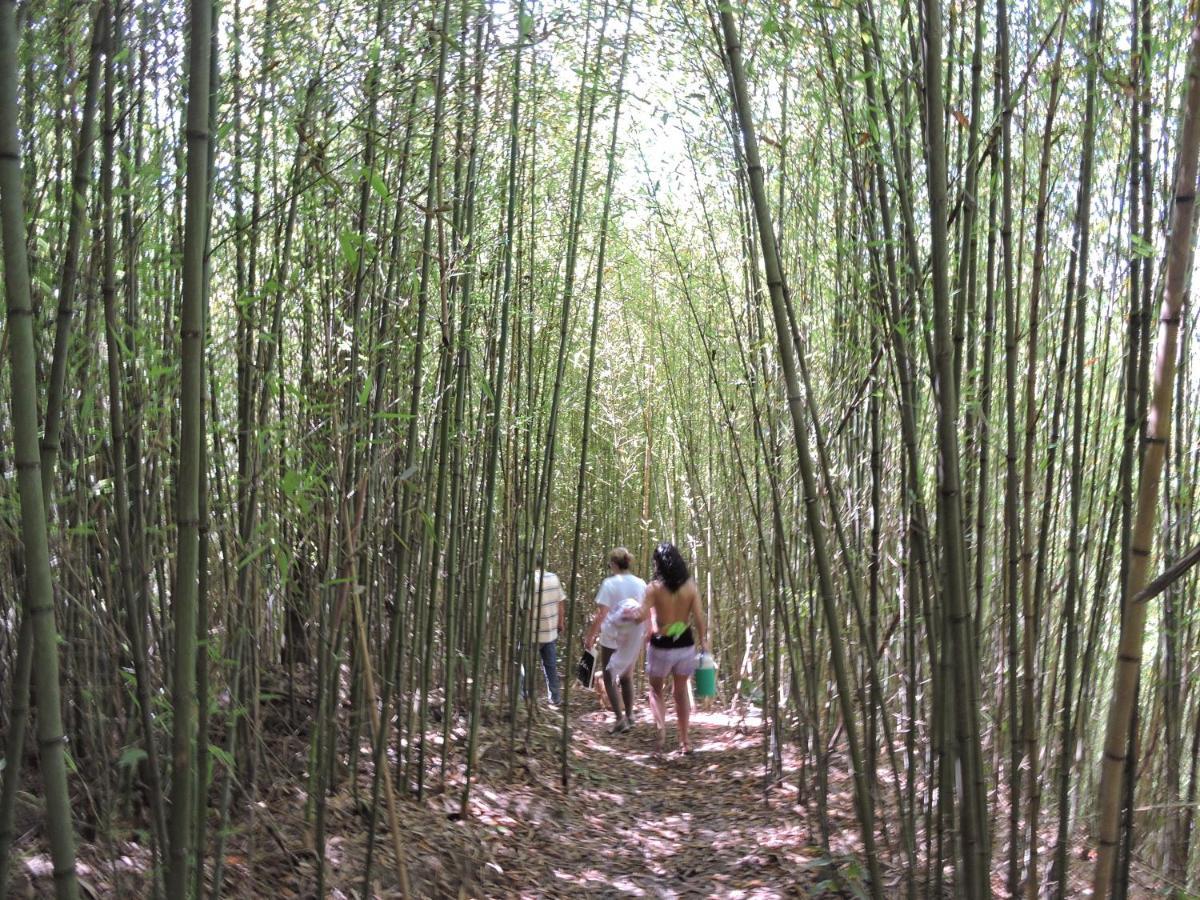 Eco-cabanas Altozano *
