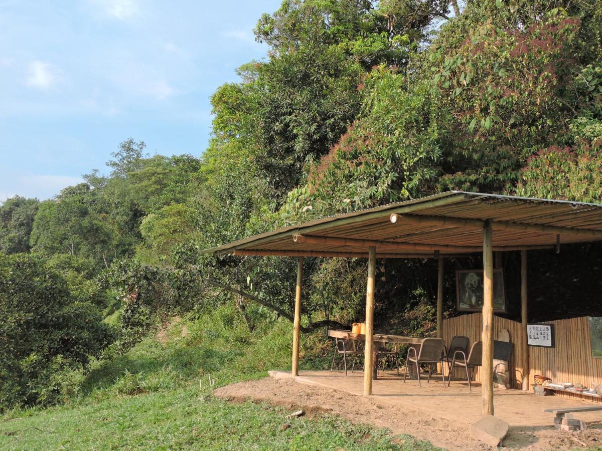 Lodge Eco-cabanas Altozano Nimaima