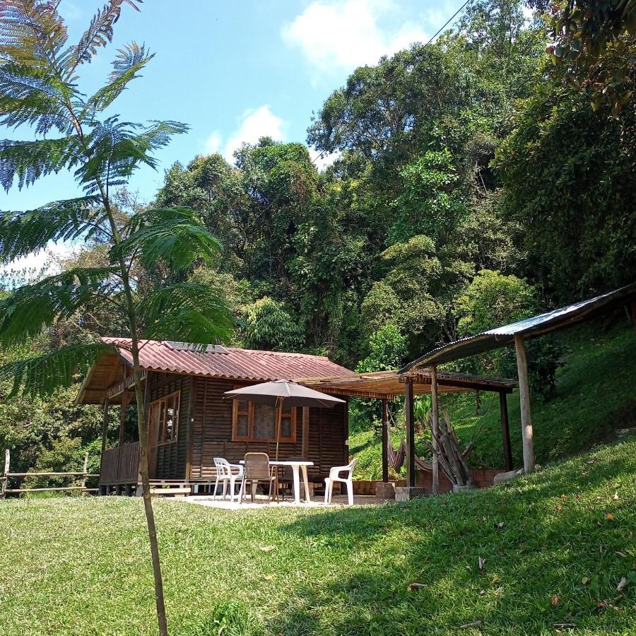 Lodge Eco-cabanas Altozano *