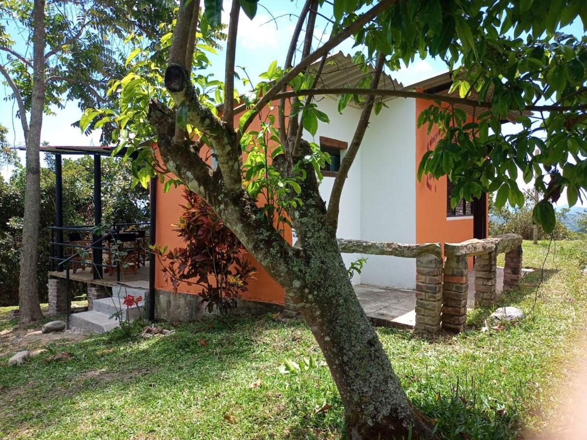 Lodge Eco-cabanas Altozano *