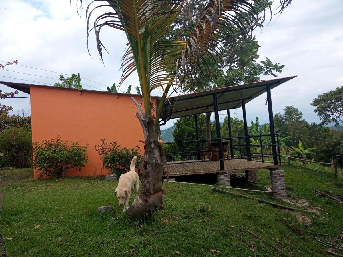 Eco-cabanas Altozano Nimaima