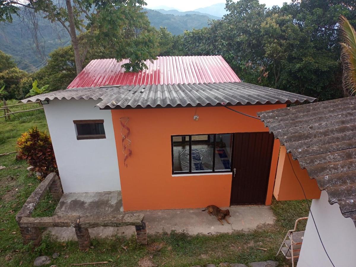 Lodge Eco-cabanas Altozano Nimaima