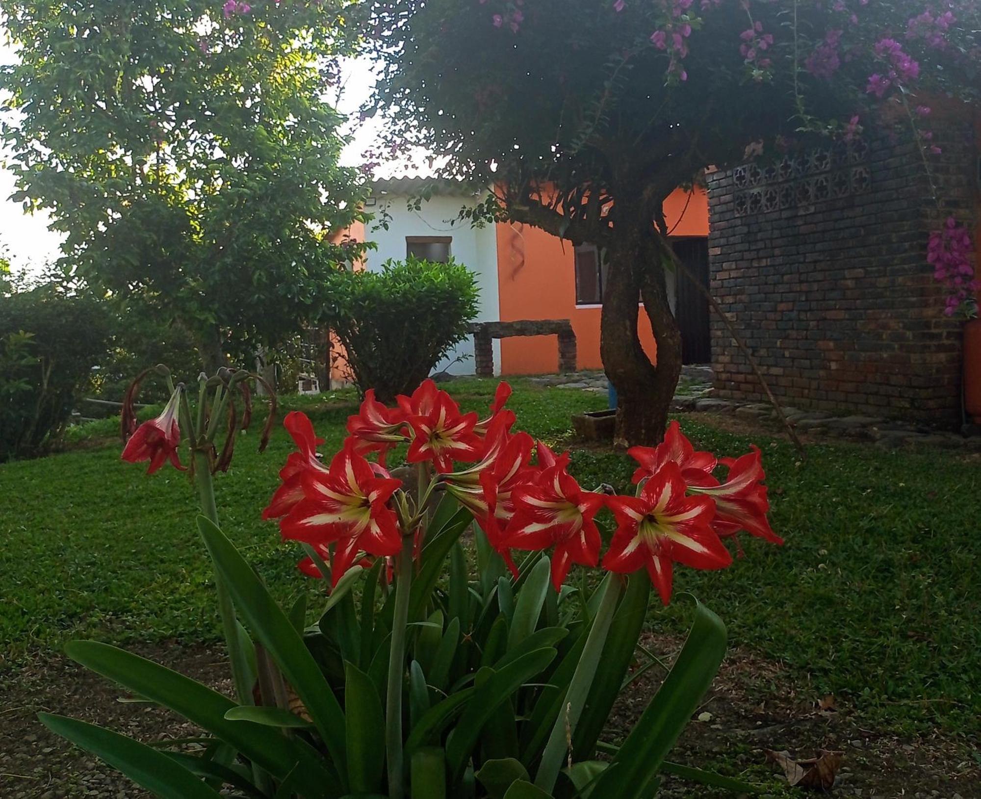 Eco-cabanas Altozano